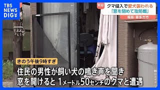 飼い犬の鳴き声を聞き窓を開けるとクマ「手が入ってきて…」 飼い犬は襲われ死ぬ　福島・喜多方市｜TBS NEWS DIG
