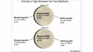 Whole Genome Sequencing for Rare Clinical and Consanguineous Familial Cases