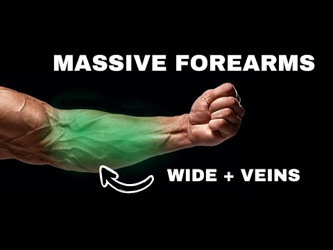 How to build massive forearms without any equipment - YouTube