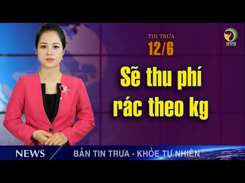 Bản tin trưa