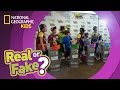 Fun Trivia Questions on Various Topics