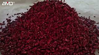 Dried #ChilliPeppersSorting with AMD® LG-(KP+Hi)