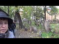 Прага - еврейский квартал, синагога, еврейское кладбище