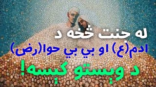 د حضرت ادم(ع) کېسه - د پیغمبرانو د کېسو لړۍ(۱)