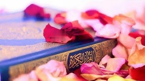 ارح سمعك.. تلاوة هادئة تريح القلب والعقل | سورة الانبياء - "للشيخ الشحات محمد انور"