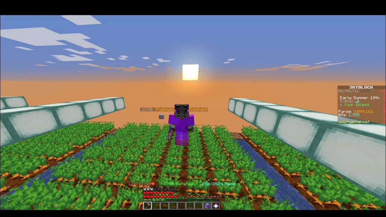 Ultimate Farming Hoe! Legendary Gauss Carrot Hoe! Skyblock Hypixel
