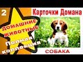 Карточки Домана Домашние животные часть 2