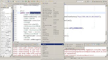 14 Activemq topic Consumer
