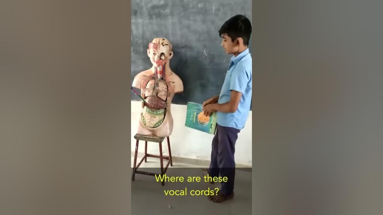 How do humans make sound - YouTube