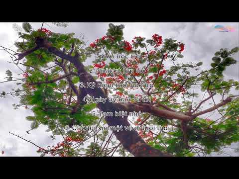 Video Mashup những bài hát hay về tuổi học trò || Milky Way... - YouTube