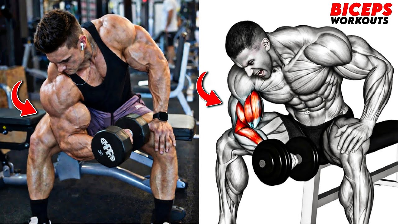 8 невероятных упражнений для бицепсов, которые придадут им внушительные формы, толщину и силу 🔥