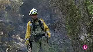 Extingit Lincendi De Selva Després De Cremar Una Hectàrea De Pinar