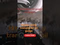 Nissan sunny transmition oil guage location