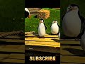                                      نجومي