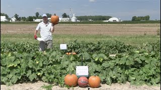 2020 Virtual Pumpkin Field Day