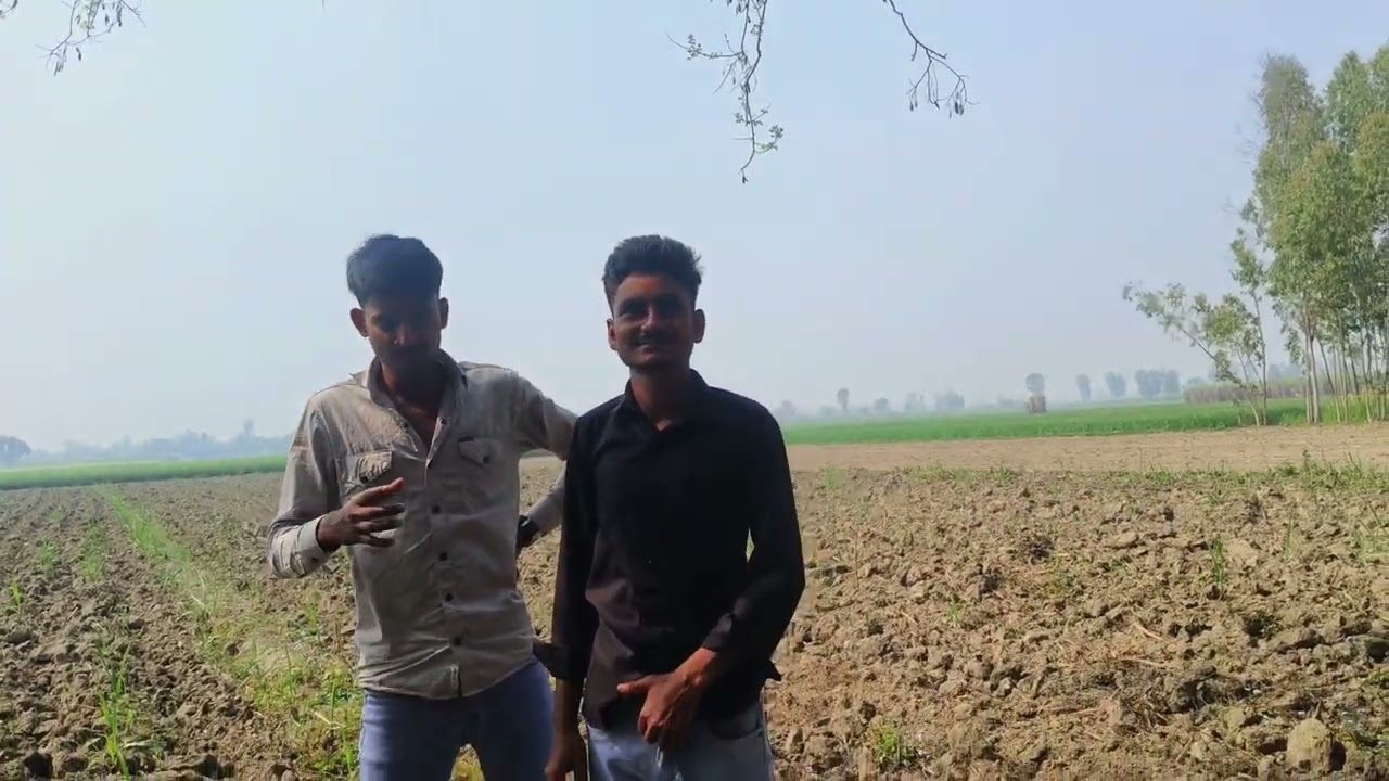 Pull up challenge blog 