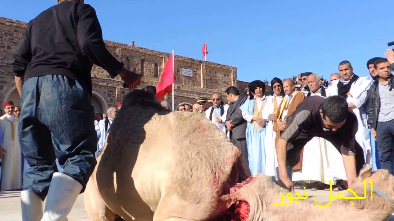 نتيجة بحث الصور عن موسم أسا