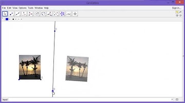 Resizing, Reflecting and Distorting a Picture - Part 1