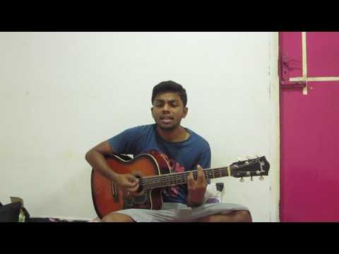 Lailakme guitar cover