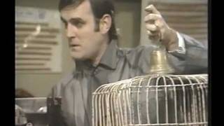 Monty Python: Dancing Venus and Dead Parrot Sketch