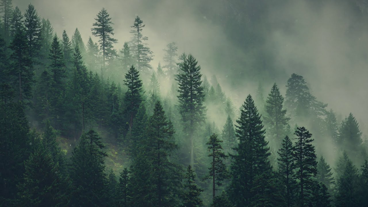 medita  /  deep sleep  ¬  create your destiny  ¬  hypnosis for law of attraction  ¬  meditation