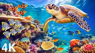 Ocean 4K - Sea Animals for Relaxation, Beautiful Coral Reef Fish in Aquarium (4K Video Ultra HD) #2