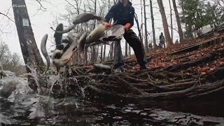 Celebrity Trout stocking ramps up for spring in New Hartford Profile