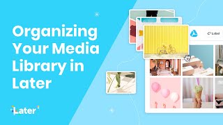 How to Use Later's Media Library to Save Time