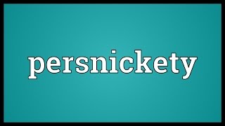 Persnickety Meaning