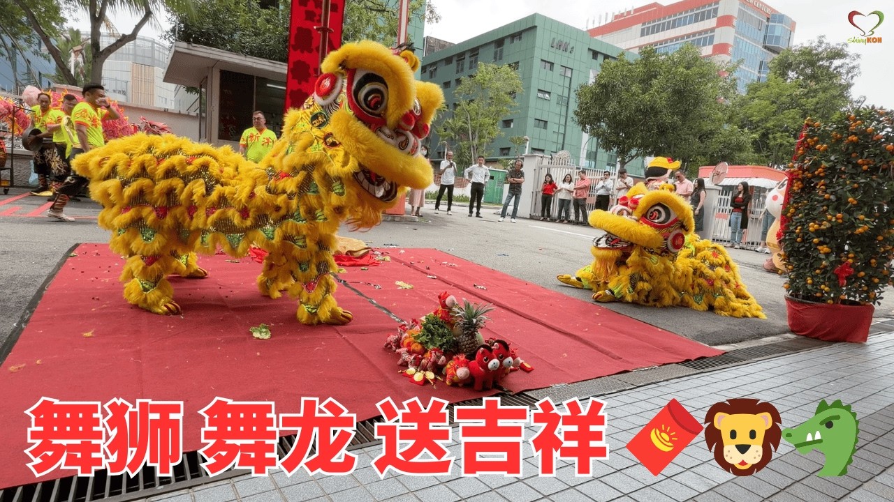 舞狮 舞龙 送吉祥 🧧🦁🐲 Kimly Construction演出 | Lion & Dragon Dance & Prosperity | 新洋体育会 | #Shinykoh