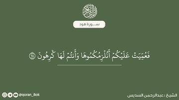 سورة هود مكتوبة - الشيخ: عبدالرحمن السديس