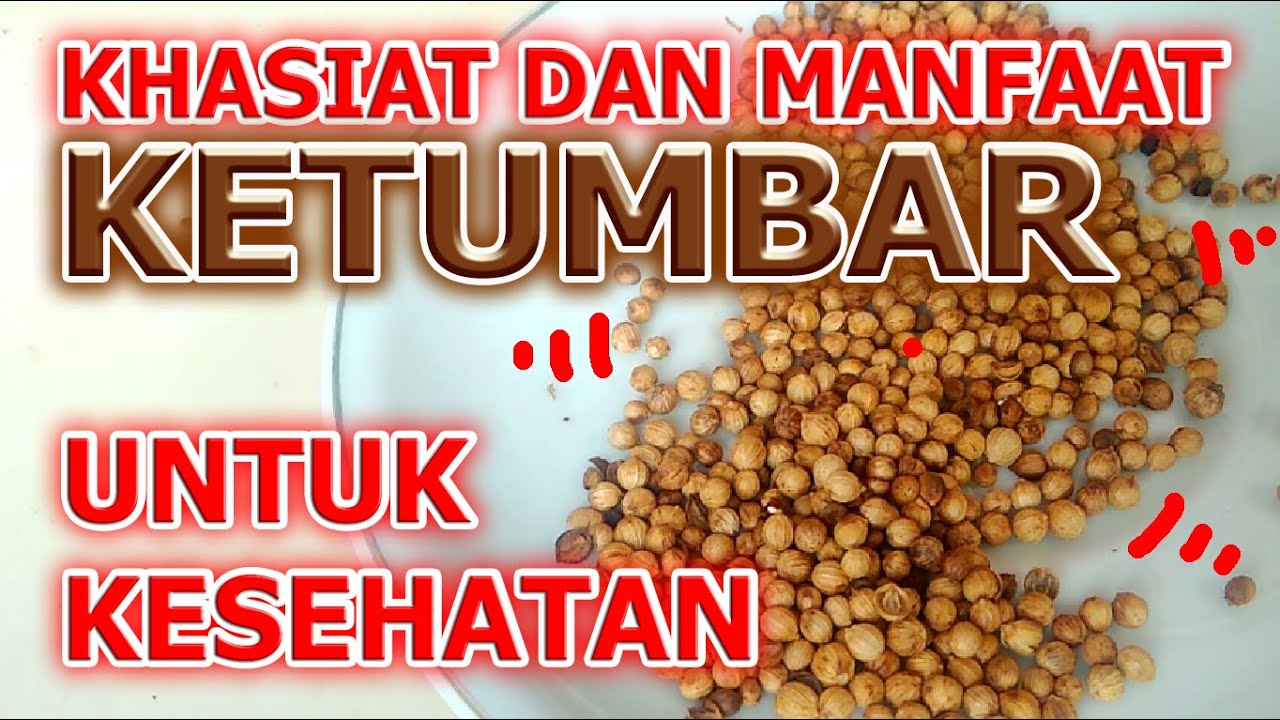 Khasiat Dan Manfaat Ketumbar Untuk Kesehatan  Khasiat Dan Manfaat Ketumbar Untuk Kesehatan