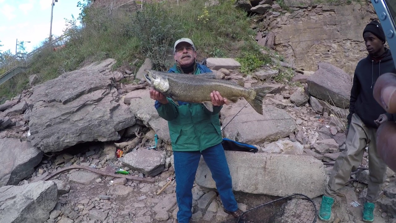 Salmon Fishing in Rochester, NY YouTube