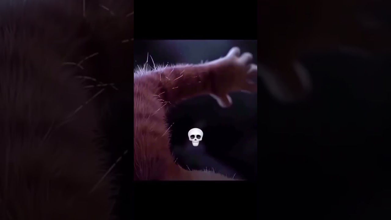 Vddi jinnisi 😂✌️ 