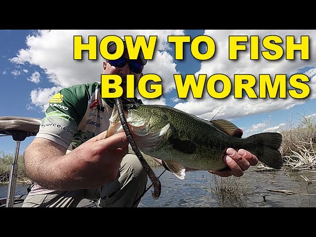How To Fish Big Worms (the Best Ways)