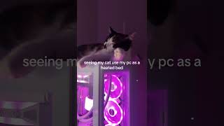 “This Cat💀” #pcgaming #benchmark #rtx5050 #gtx1080ti