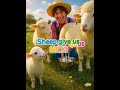 🐑 Sheep Give Us Milk & Cheese! 🧀 Kids Farm Learning Video #youtubeshorts #minismileworld