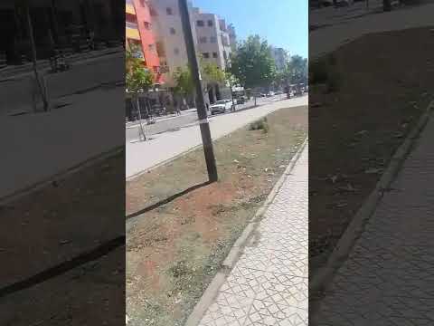 نرجس شرع وفاء مدنت فاس