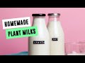 Homemade Plant Milks (Oat & Cashew) | SO VEGAN