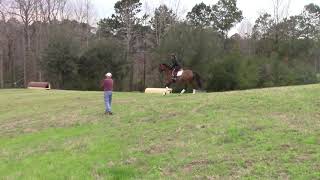 Ferragamo's Finn XC Schooling