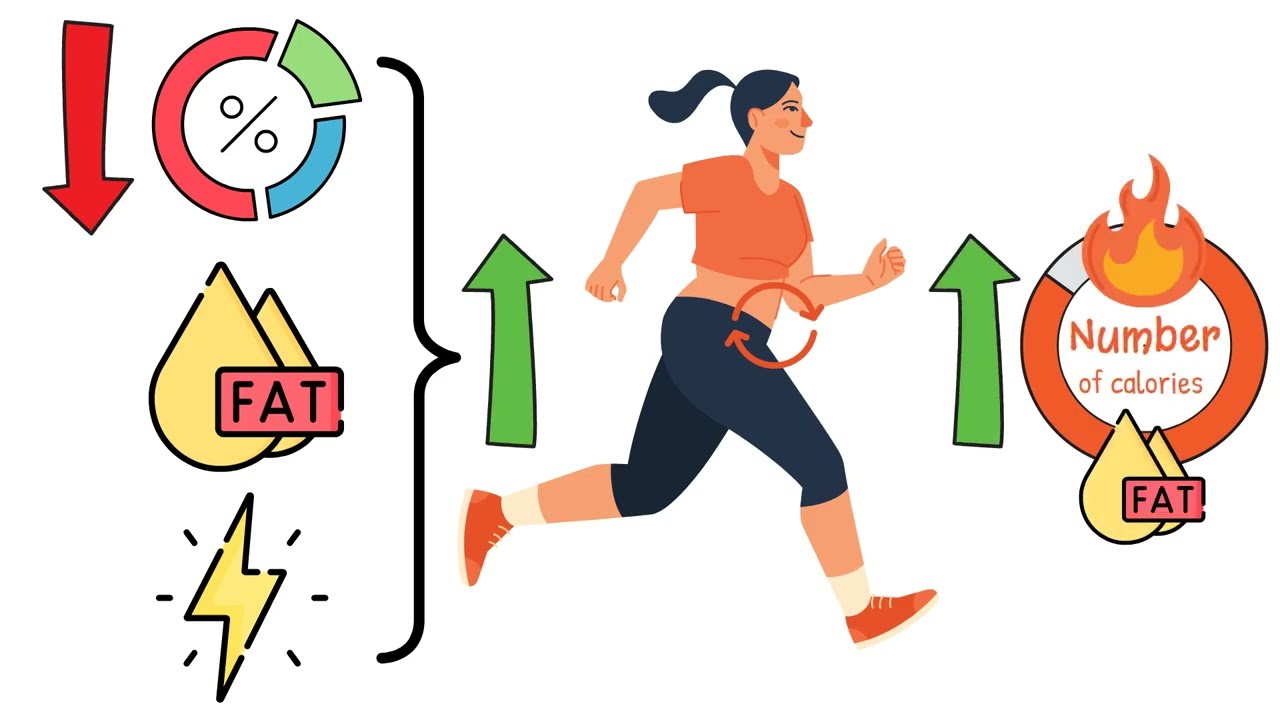 FATMAX ZONE EXPLAINED! Exercise intensity that burns the most fat!