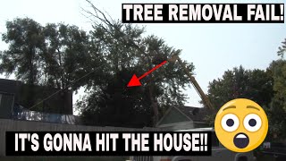 Tree removal GONE WRONG TREE SERVICE FAILS