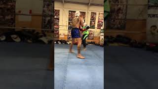 2019111503 toellgym.com