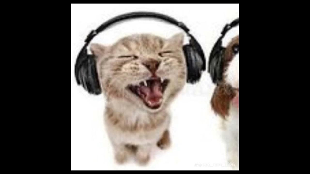 speed-up-tik-tok-songs-3-timestamps-in-the-description-youtube