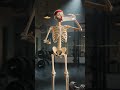 taking creatine skeleton