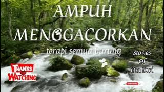 AMPUH MENGGACORKAN || terapi gacor semua burung || terapi air || @stories of om dwi