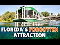 What Happened to Silver Springs?
