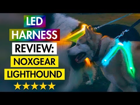 LED Dog Harness Review: Noxgear LightHound (FIVE ⭐)