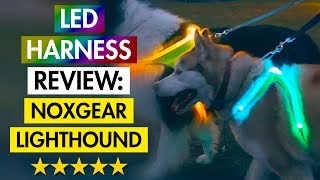 LED Dog Harness Review: Noxgear LightHound (FIVE ⭐) by Our Fuzzy Pals 17,299 views 5 years ago 12 minutes, 7 seconds