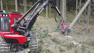 Komatsu 931xc & C144 《 🌲Diesel Power on Tour Saualpe Kärnten😁 🌲 》 1 / 5